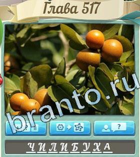 ответы на игру Цветик-семицветик уровень 517