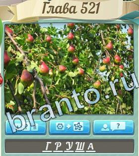 Цветик-семицветик ответ на уровень 521