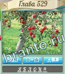 ответы на игру Цветик-семицветик в Одноклассниках уровень 529