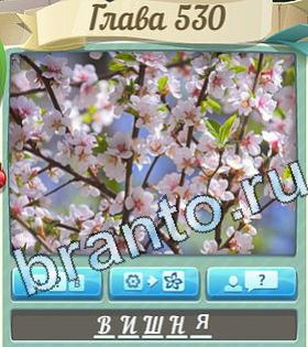 Цветик-семицветик игра ответы уровень 530