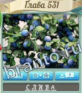 ответы на все уровни игры Цветик-семицветик уровень 531