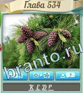 Цветик-семицветик игра ответы уровень 534