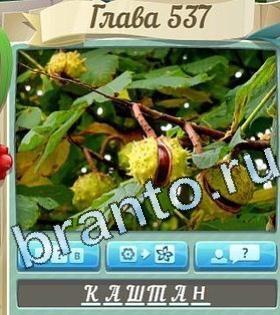 ответы на игру Цветик-семицветик уровень 537