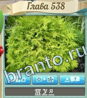ответы на игру Цветик-семицветик уровень 538