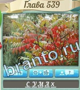 Цветик-семицветик ответ на уровень 539