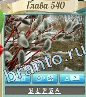 Цветик-семицветик ответ на уровень 540