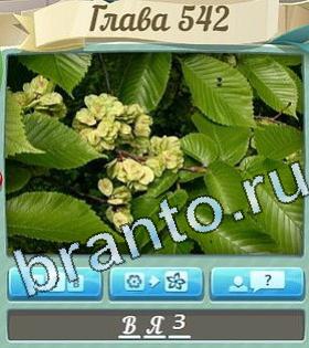 ответы Цветик-семицветик уровень 542