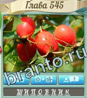 ответы приложение Цветик-семицветик уровень 545