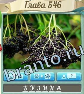 ответы на игру Цветик-семицветик уровень 546