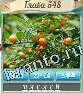 ответы на игру Цветик-семицветик уровень 548