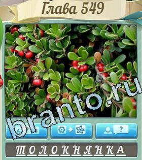 ответы на игру Цветик-семицветик уровень 549