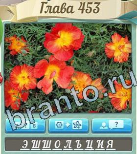 помощь на игру Цветик-семицветик одноклассники уровень 453