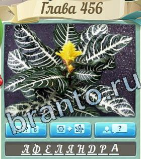 игра Цветик-семицветик ответы в контакте уровень 456