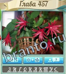игра Цветик-семицветик подсказки одноклассники уровень 457