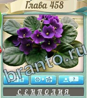 игра Цветик-семицветик помощь ВК уровень 458