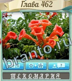 Цветик-семицветик ответ на уровень 462