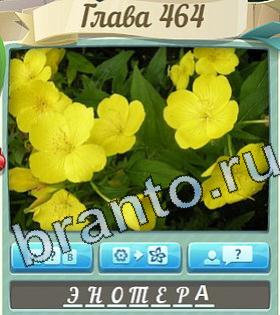 скриншоты с ответами Цветик-семицветик уровень 464