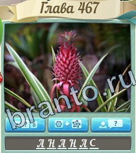 ответы на игру Цветик-семицветик уровень 467