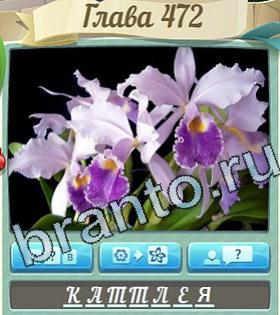 ответы на игру Цветик-семицветик уровень 472