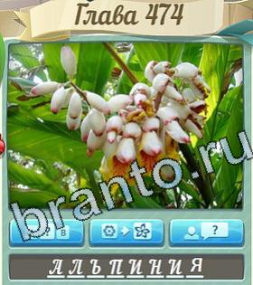 ответы на игру Цветик-семицветик уровень 474