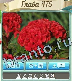 ответы на игру Цветик-семицветик уровень 475