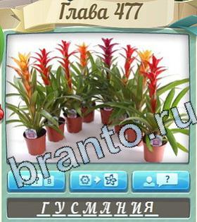 ответы на игру Цветик-семицветик уровень 477