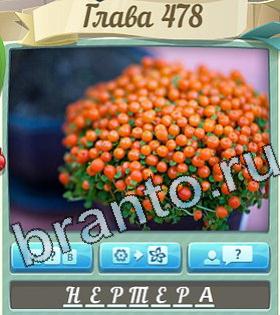 ответы на игру Цветик-семицветик уровень 478