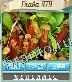 ответы на игру Цветик-семицветик в Одноклассниках уровень 479