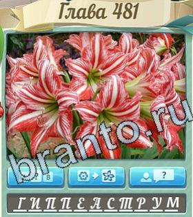 ответы на все уровни игры Цветик-семицветик уровень 481
