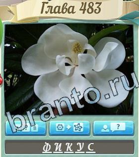 помощь на игру Цветик-семицветик уровень 483