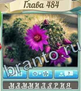 Цветик-семицветик игра ответы уровень 484