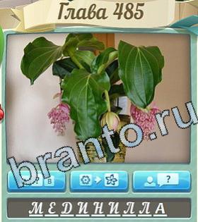 подсказки на игру Цветик-семицветик уровень 485