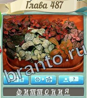 ответы на игру Цветик-семицветик уровень 487