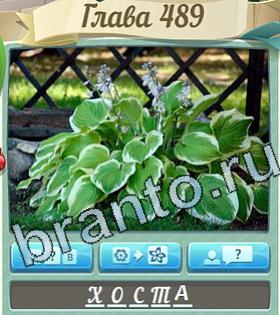 Цветик-семицветик ответ на уровень 489