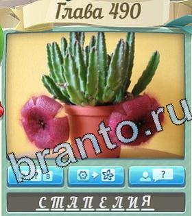 Цветик-семицветик ответ на уровень 490