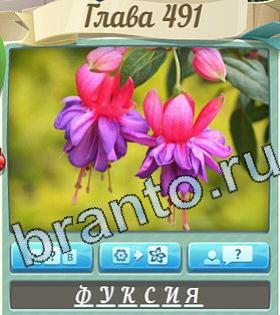 ответы на игру Цветик-семицветик уровень 491