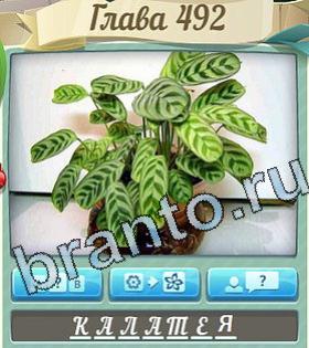 ответы Цветик-семицветик уровень 492