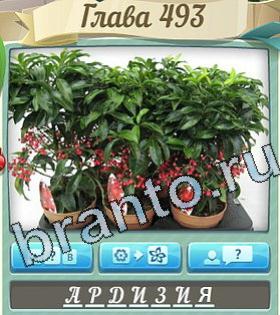 ответы на игру Цветик-семицветик уровень 493