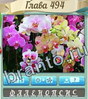 ответы на игру Цветик-семицветик уровень 494