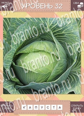 подсказки на игру Дары природы уровень 32