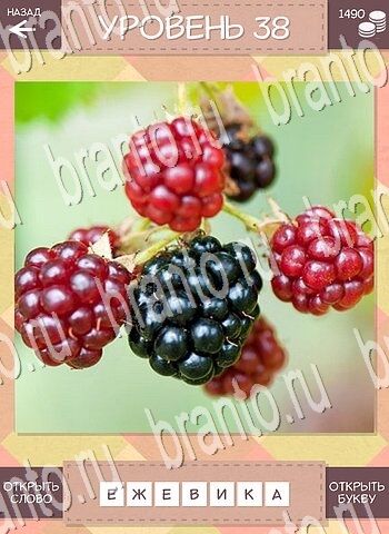 игра Дары природы помощь на все задания уровень 38