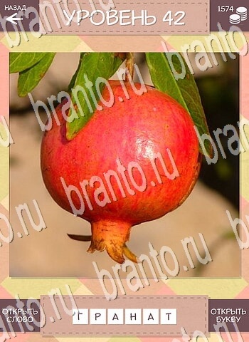 планшет Дары природы Угадай фрукт ответ на уровень 42