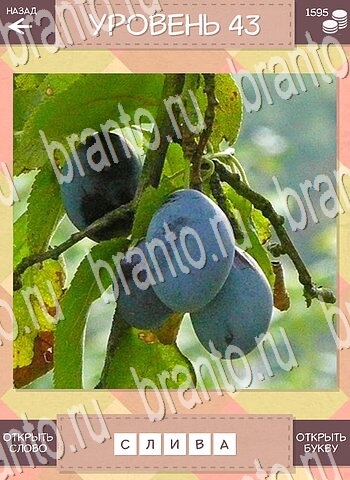 Дары природы игра ответы для android уровень 43