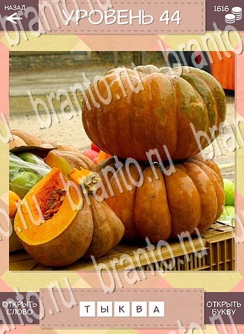 скриншоты с ответами Дары природы уровень 44