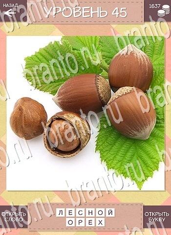 ответы на игру для android Дары природы уровень 45