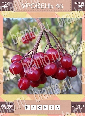 Дары природы Угадай фрукт игра андроид решения уровень 46