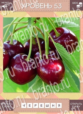 Дары природы ВК ответ на уровень 53