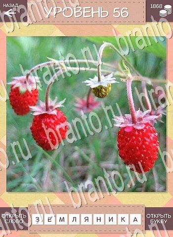 Дары природы Угадай фрукт планшет ответы уровень 56