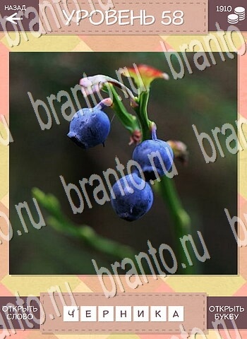 Игра Дары природы Угадай фрукт ответы на все уровни на телефоне уровень 58