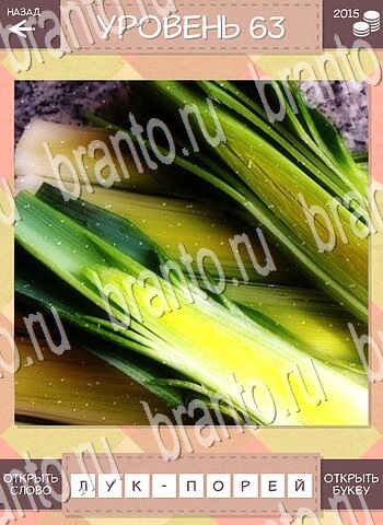 помощь на игру Дары природы Угадай фрукт андроид уровень 63